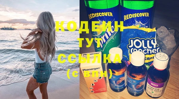 твердый Бородино