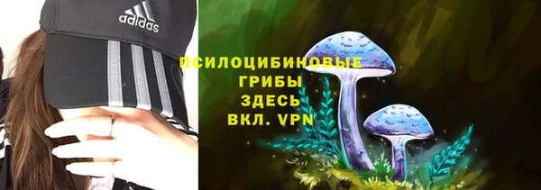 твердый Бородино