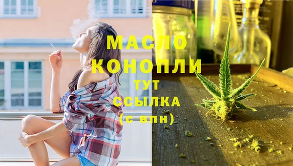 твердый Бородино
