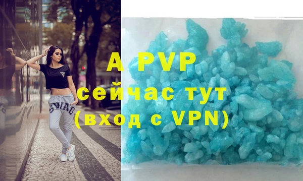 твердый Бородино