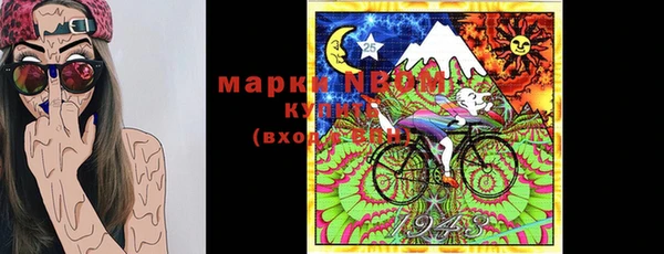 твердый Бородино