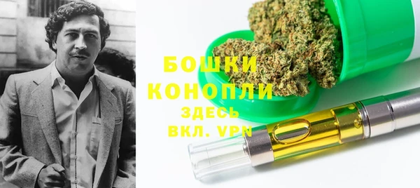 твердый Бородино