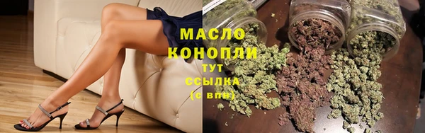 твердый Бородино