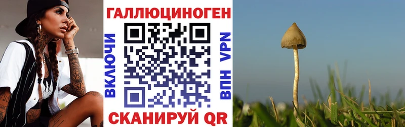 Псилоцибиновые грибы Magic Shrooms Купить закладки Чегем